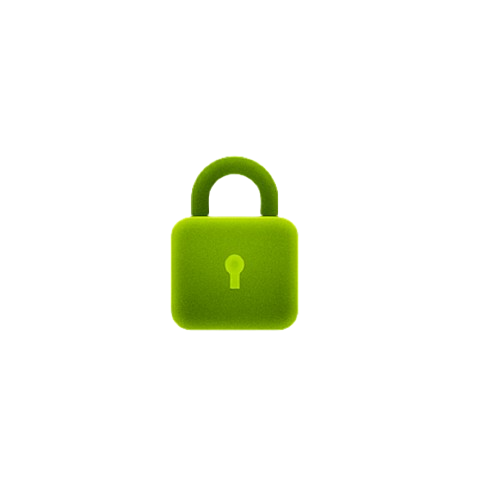 Optimize icon